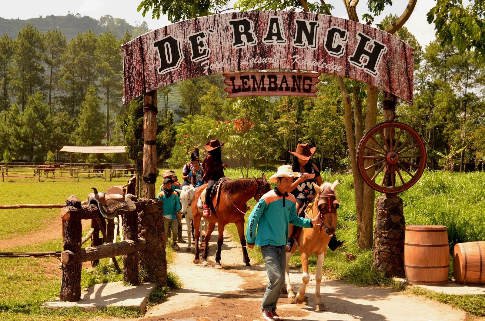 11 Kegiatan Seru Di D Ranch, Lembang, Bandung