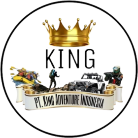 Logo King