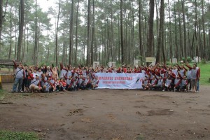 BNIS 3