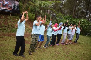 DKI 13