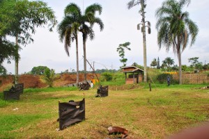 DSC 0461 (1)