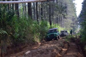 IMG-20200602-WA0058 (1)