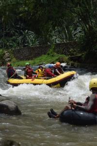 IMG-20200602-WA0245