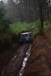 IMG-20200602-WA0246
