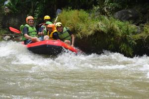 IMG-20200602-WA0263