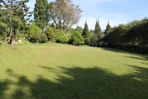IMG 0090 (1)