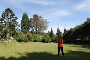 IMG 0091