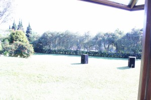 IMG 0102 (1)