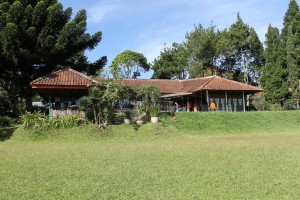 IMG 0107 (1)