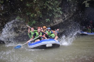 Sinergi 22